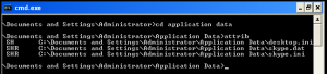 Application Data